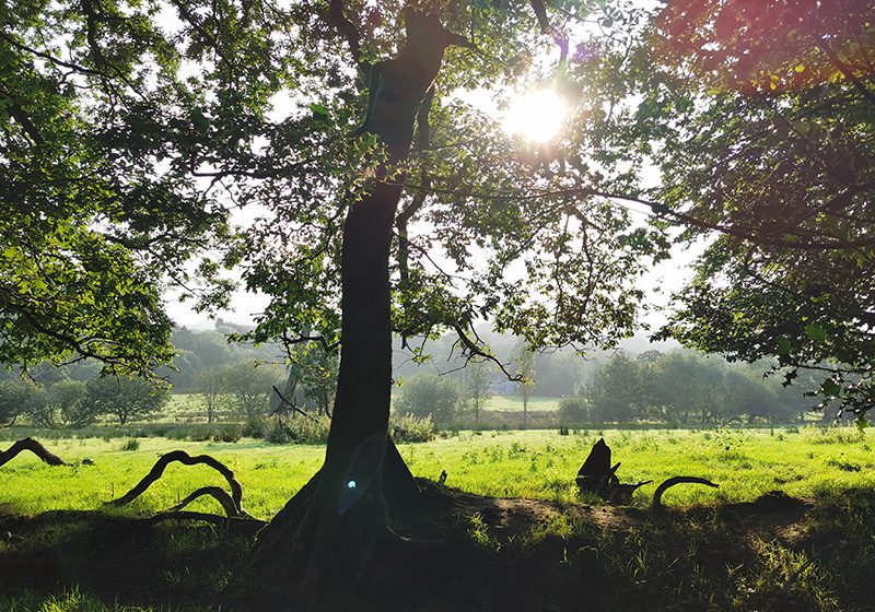 Plas Cilybebyll Yoga Retreat Venue in South Wales